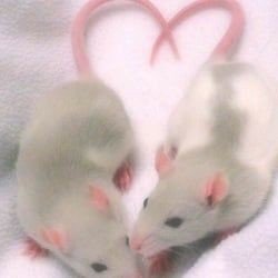 faatbi's profile picture. ed twt / not pro
acc nova { conta antiga: @bitchfat98 }