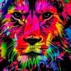 roubishkrpushk1's profile picture. 