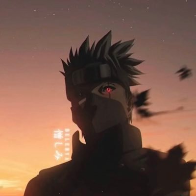 Ybb_22's profile picture. Adonitologist