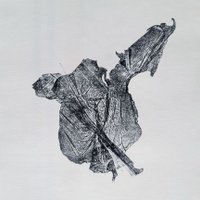 Le Toumas (@letoumas) 's Twitter Profile