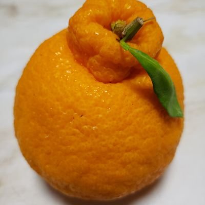 satotsuDX's profile picture. たまに起きる😴