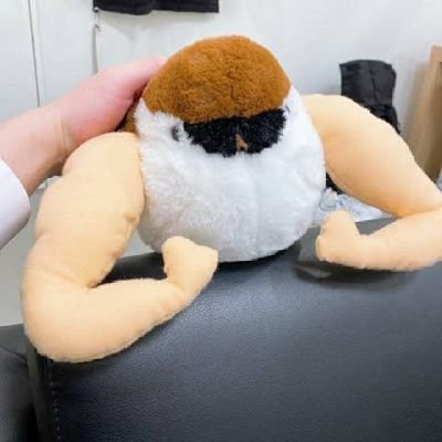 OPPoSzrzgddofaq's profile picture. 府中6小→三鷹中等→基礎工
→院(ロボットアーム)→兵庫の会社

マウンテンデュー
アルペンスキー
スプラトゥーン
(エクスプロッシャーに限る)
SEKAI NO OWARI
04limitedsazabys
ズーカラデル