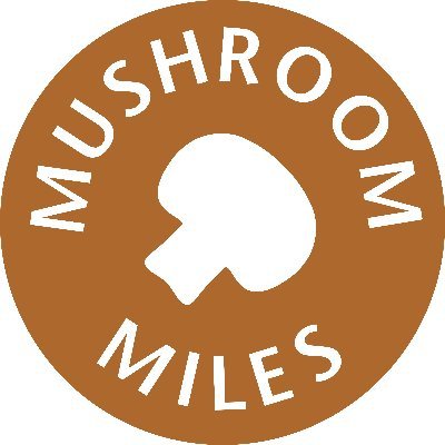 We've moved! For more mushroom goodness, your fix of vitamin D and general news, go follow our new account @morewmushrooms 👌