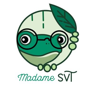 MAGREY Camille - Professeure de SVT en collège-lycée à Brest.
Chaîne YouTube 🎥 Madame SVT 🐸