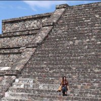 Adriana Reyna (@adrianaryl) 's Twitter Profile