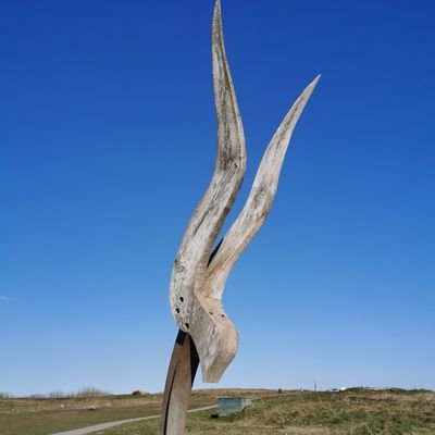 coast_durham's profile picture. 