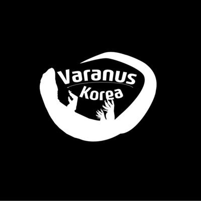 Varanus korea #varanus #odatria #monitolizard #ackie