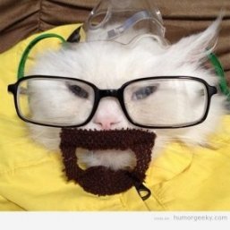 realeyesz7's profile picture. 