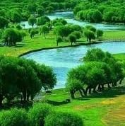 da_monir's profile picture. from Morocco 🇲🇦