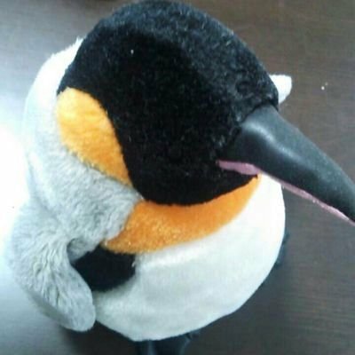 @penguin@misskey.systems
夢は「世の中の仕事の撲滅」
全人類はヴァイオレットエヴァーガーデンとハイスコアガールと正反対な君と僕を見ろ

お仕事の依頼はDMで