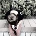 Roy (@akspring322) Twitter profile photo Roy (@akspring322) Twitter profile photo