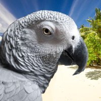 ƓɾҽվͲօղҟą (@greytonka) 's Twitter Profile Photo ƓɾҽվͲօղҟą (@greytonka) 's Twitter Profile Photo