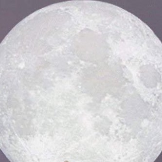 mlalolli's profile picture. 