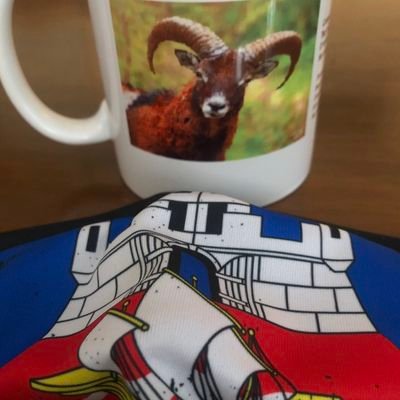 BGmuflon's profile picture. 