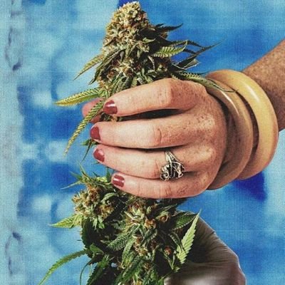 takenudebesexy's profile picture. https://t.co/OpDaAx2Y3J