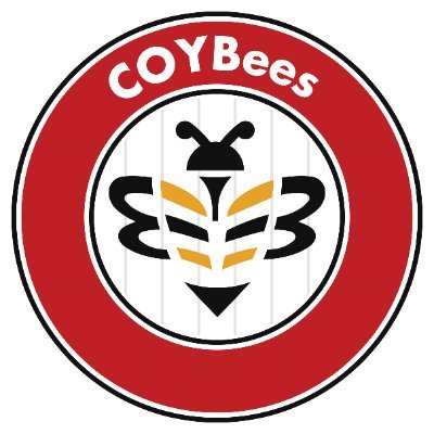 COYBeescom Profile Picture