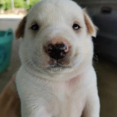 waratthaya779's profile picture. 