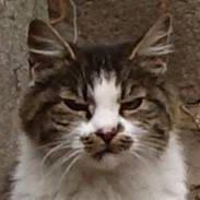 m08734471's profile picture. meh.