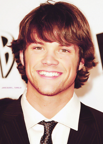 F.C. do nosso amado ator Jared Padalecki! Since: 05/06/2011 *-* - Siga também: @FC_Jensen_01 & @FC_MishaCollins.