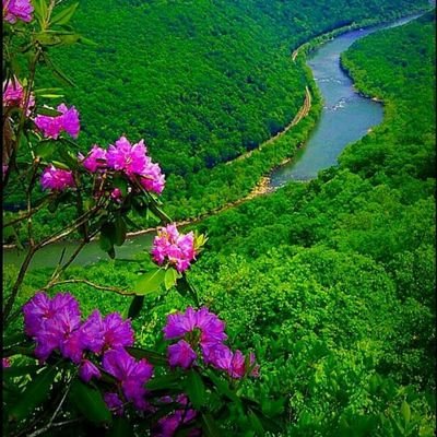 KrmzBal42983554's profile picture. 