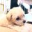 minmin30801008