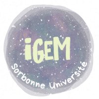 IGEM 2021 Sorbonne Université Paris (@igemsorbonne) 's Twitter Profile