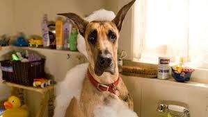 fanniewannie's profile picture. 