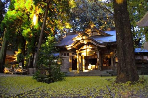 宮崎県北部の高千穂町に鎮座する高千穂神社の公式ツイッターです。
祭りの情報など 時々お送りします。
郵送の御祈願依頼・御守の発送承ります。電話にてお問合せください。☎︎0982-72-2413(DMには対応しておりません)