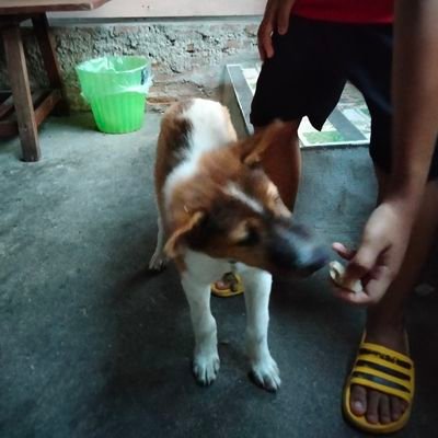 Kwtin1982's profile picture. fan account