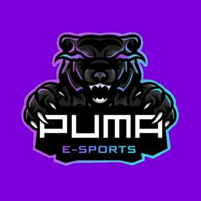 The Brazilian Organization PUMA E-sports