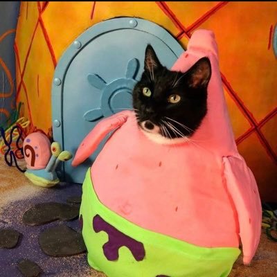 franner08's profile picture. 