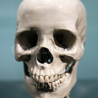 slitmmers's profile picture. Nothing