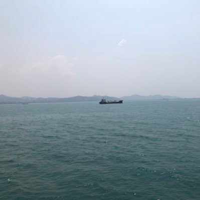 kanokchaporn's profile picture. 