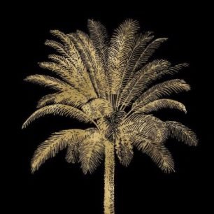 awiser_'s profile picture. 