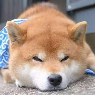 リュウさんのプロフィール画像