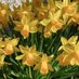 Hidden Wales (@hiddenwales) Twitter profile photo Hidden Wales (@hiddenwales) Twitter profile photo