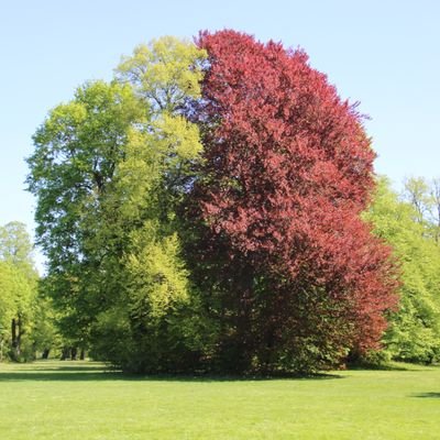 menthna's profile picture. 