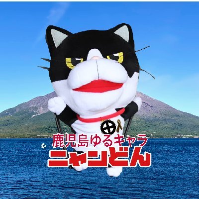 ©︎鹿児島ゆるキャラ「ニャンどん・猫殿」(公式)さんのプロフィール画像
