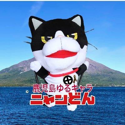 にゃん どん 鹿児島 弁