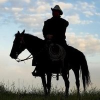 Horsey Horsethief (@horseythief) 's Twitter Profile