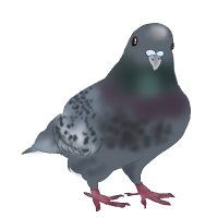 白井鳥のアニメレビュー (@bc2u4rdlxrzeai7) Twitter profile photo