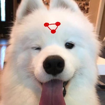 xinsela's profile picture. lll 20+ •• hobbies diary ••  ❤️🐶🐱🐭