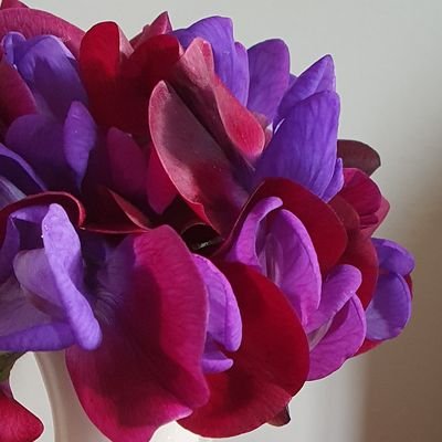 PurpleSamLong's profile picture. Purple loving, paper cutting, baker with an interest in crafting and gardening