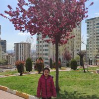 Pınar Demirkıran (@pnr_pnr19) 's Twitter Profile