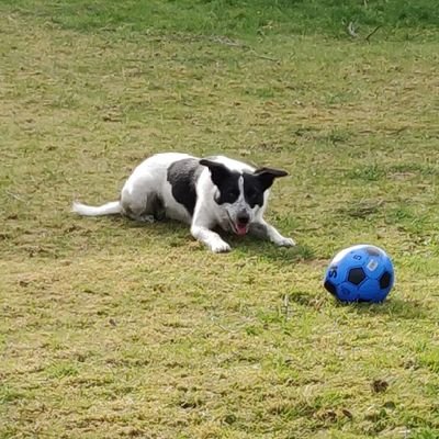 kt4jc's profile picture. 