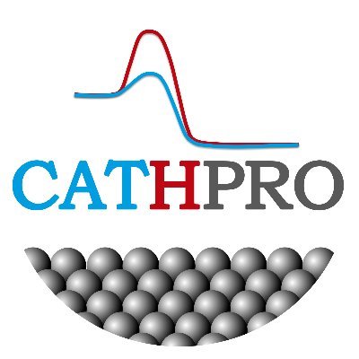 Heterogeneous Catalysis and Catalytic Processes