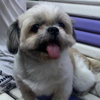 WEWEE (@wewee94) 's Twitter Profile