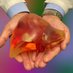 Moffitt Hepatobiliary (@mhepatobiliary) Twitter profile photo Moffitt Hepatobiliary (@mhepatobiliary) Twitter profile photo