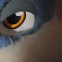 Draky_AD (@draky_ad) 's Twitter Profile
