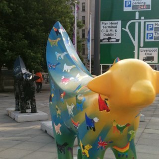 Queenydi's profile picture. 